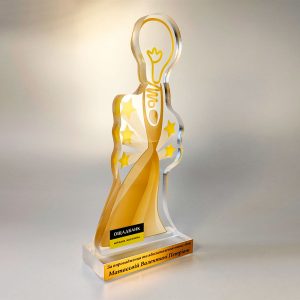 Idea award by Vizinform
