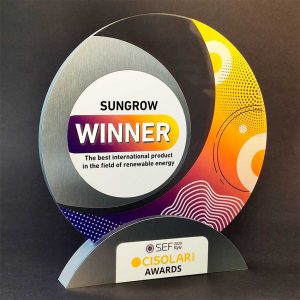 Acrylic award to the winner by Vizinform